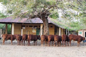 Al fondo la casa de San Miguel del Rio